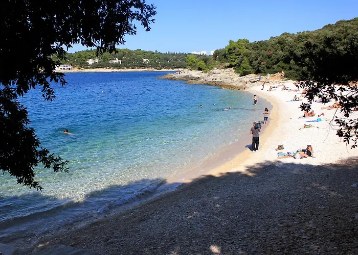 With Wifi - 22955 Apartament Pula